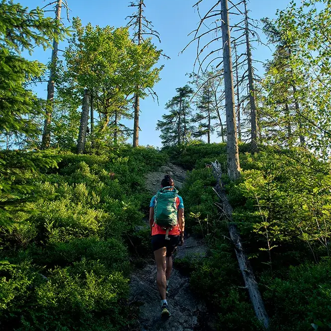 Weit hinauf geht es für die Wandersfrau über den steilen, steinigen Pfad, umgeben von Waldfläche und Azzur-Himmel.