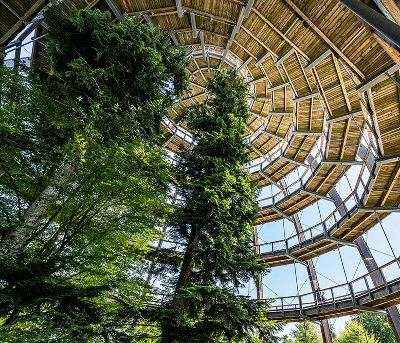 Baumwipfelpfad in Neuschönau