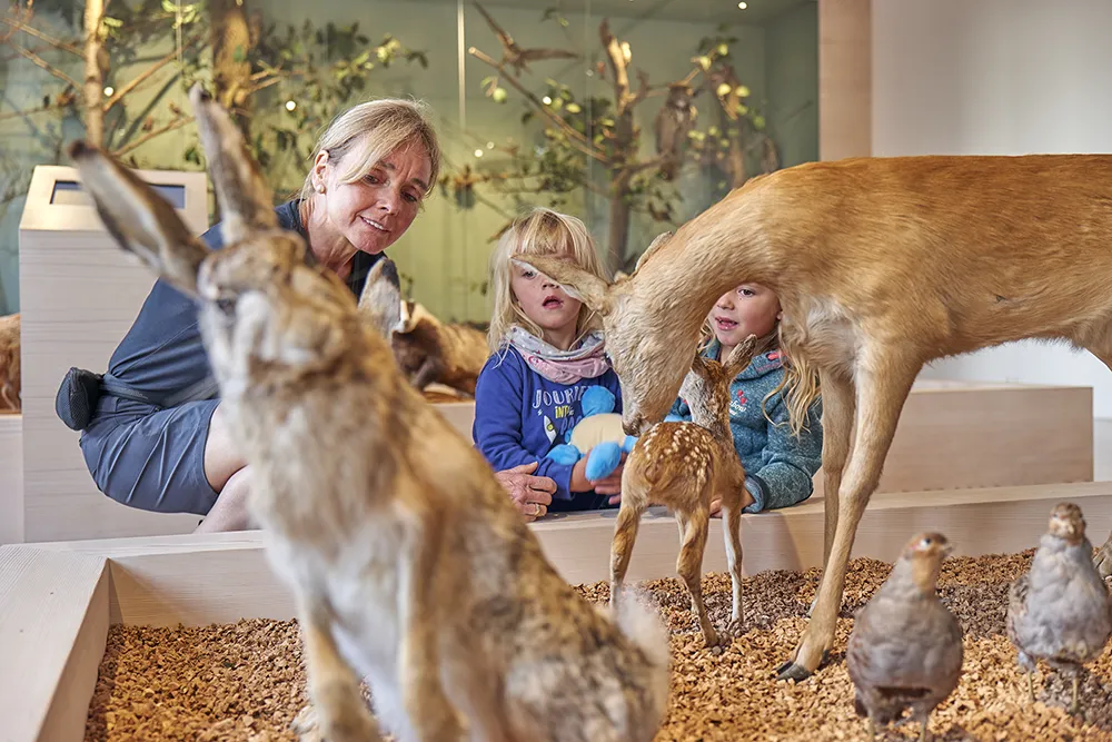 Eine Frau lächelt, während zwei Kinder die Tierpräparate von Reh und Hase in einem naturkundlichen Ausstellungsraum betrachten.