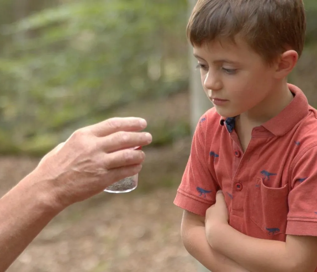 Waldführer erklärt Kind einen Käfer
