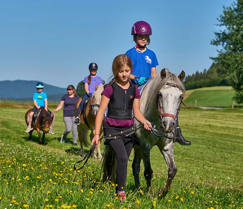 Eine Gruppe von Kindern reitet auf Ponys und wird von einem Mädchen mit einem grauen Pferd angeführt, umgeben von blühenden Wiesen.