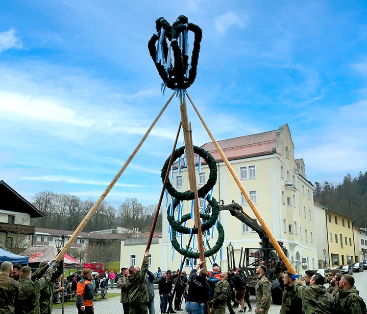 Ein festlicher Maibaum wird von einer Gruppe von Vereinsmitgliedern und Bürgern traditionell in der Region aufgestellt, umgeben von Zschauern.