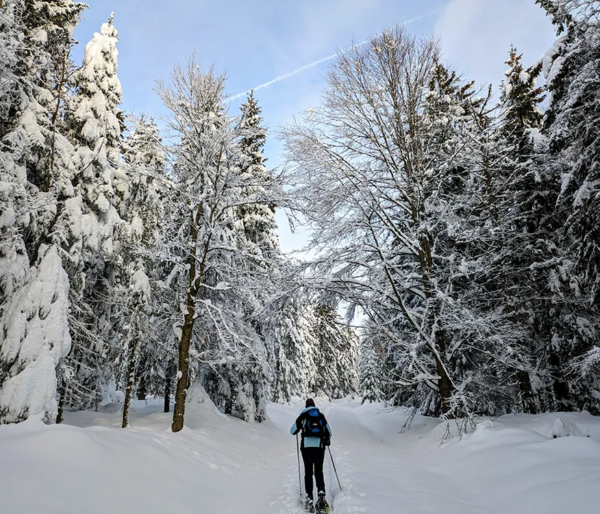 Ein Skiwanderer mit Skischuhen streift durch den winterlichen Wald am Zwercheck