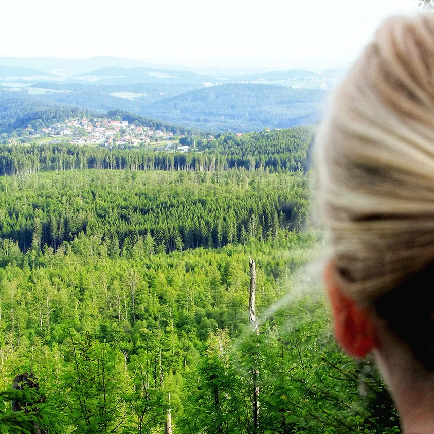 Blondes Mädchen blickt Richtung Mauth