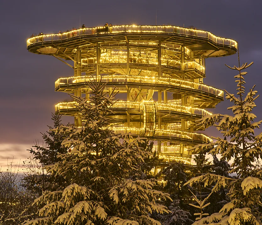 Baumwipfelweg beleuchtet in der Winterzeit