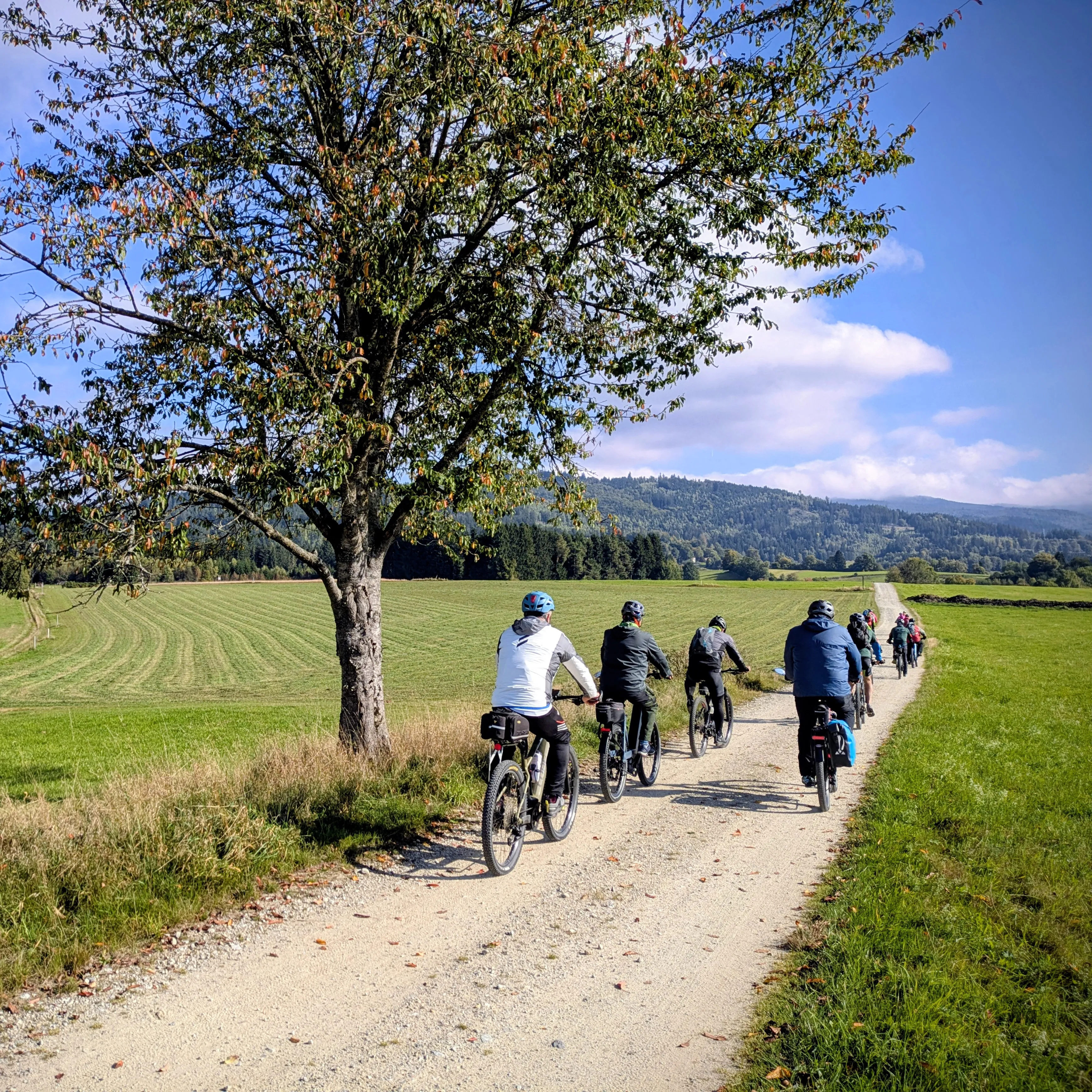Radler unterwegs beim 5-Gänge-Radeln 2025