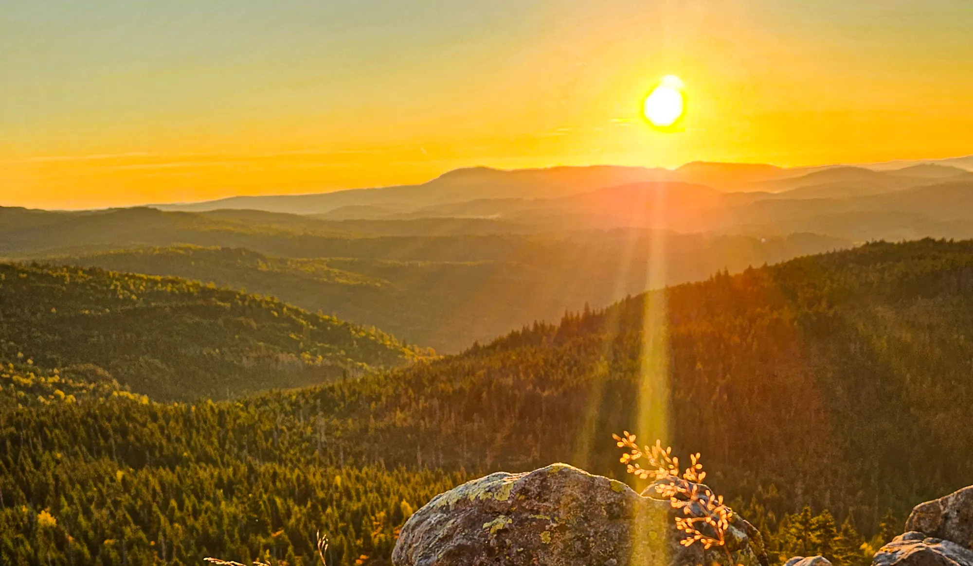Sonnenaufgang am Lusen