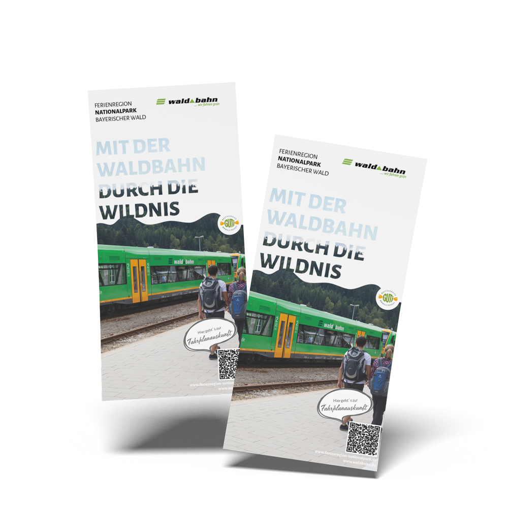 Deckblatt vom Flyer Wandern mit Waldbahn 
